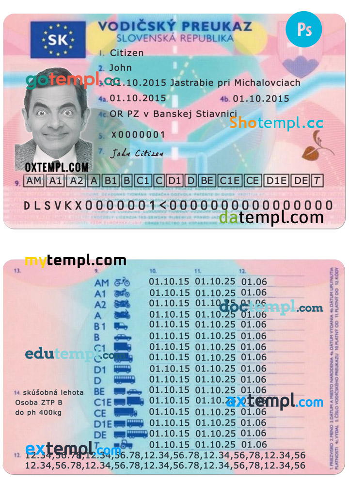 Singapore cat (animal, pet) passport PSD template, fully editable