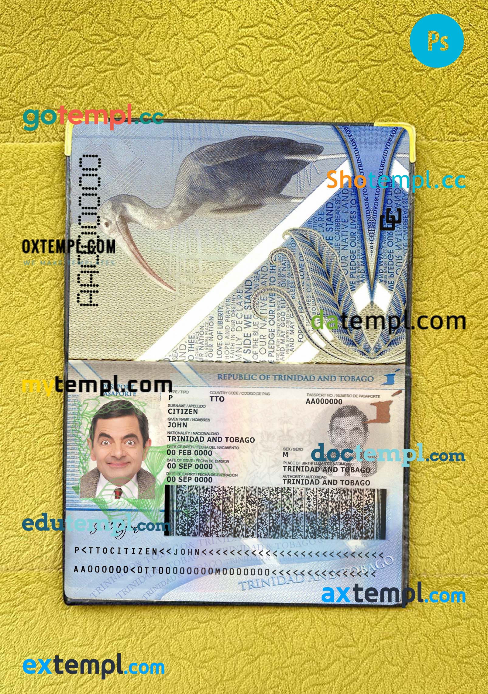 Fiji cat (animal, pet) passport PSD template, completely editable