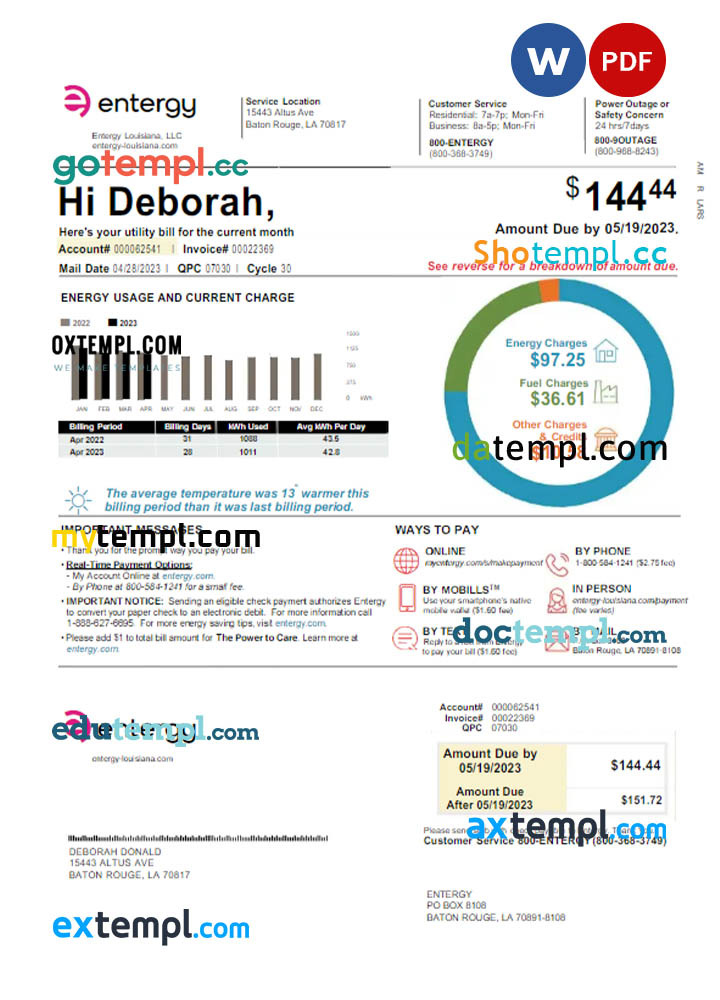 USA ENTERGY utility bill Word and PDF template