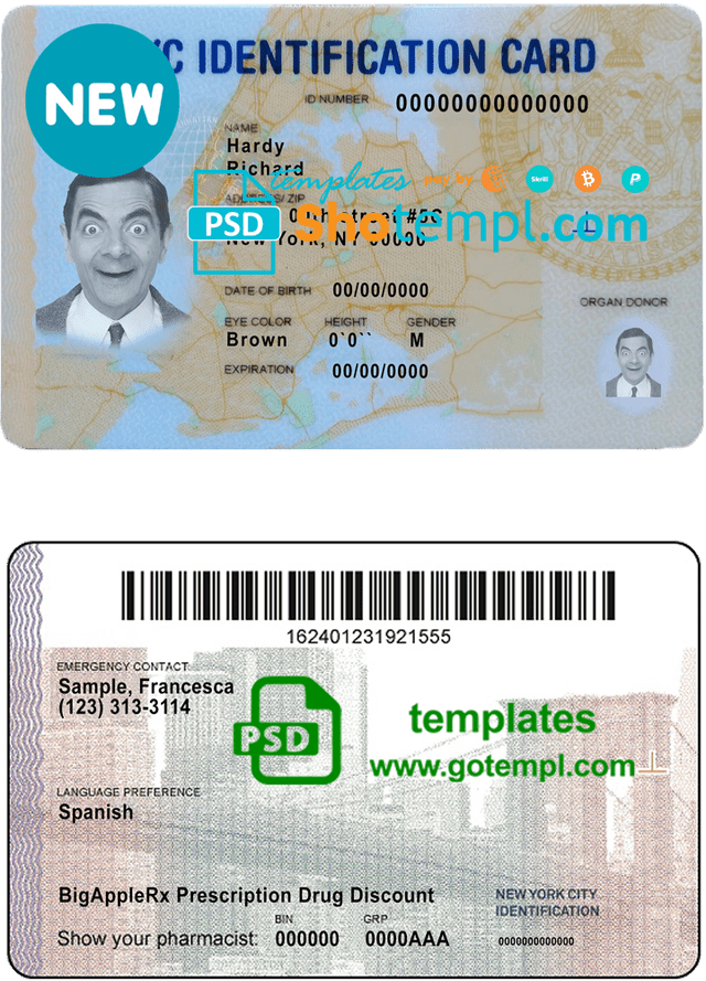 USA New York ID template in PSD format, fully editable