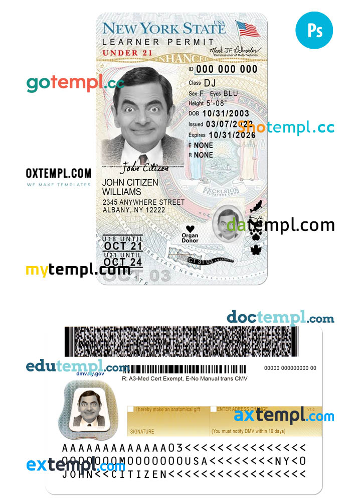 USA New York state vertical driving license editable PSD template, under 21, version 2