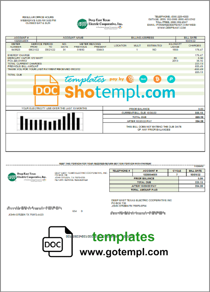 USA Deep East Texas Electric utility bill template in Word and PDF format