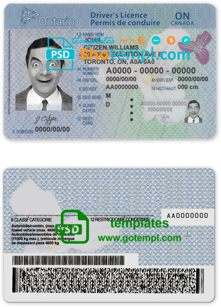 Canada Ontario driving license template in PSD format (2018 - present)