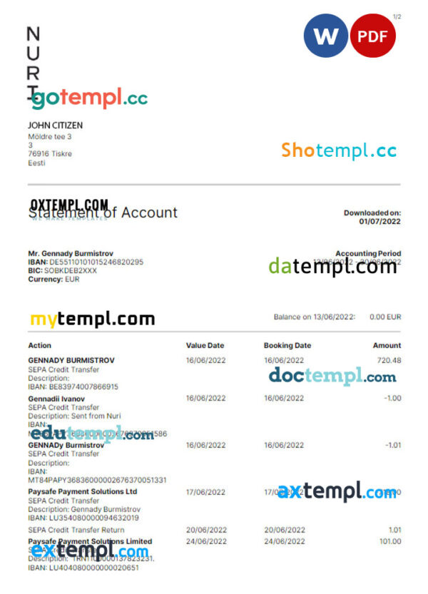 GERMANY NURI bank statement Word and PDF template