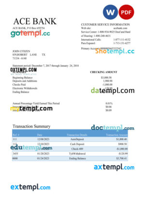 USA ACE bank statement Word and PDF template