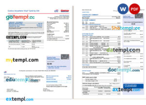 USA Citi bank card statement Word and PDF template, 2 pages
