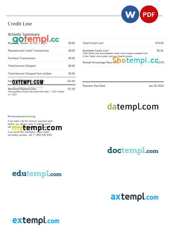USA One bank statement Word and PDF template, 4 pages
