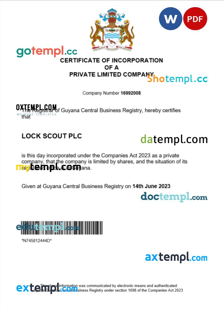 Guyana business registration certificate Word and PDF template