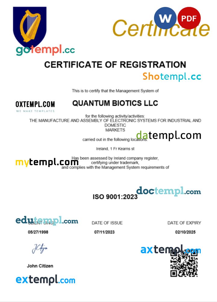 Ireland business registration certificate Word and PDF template