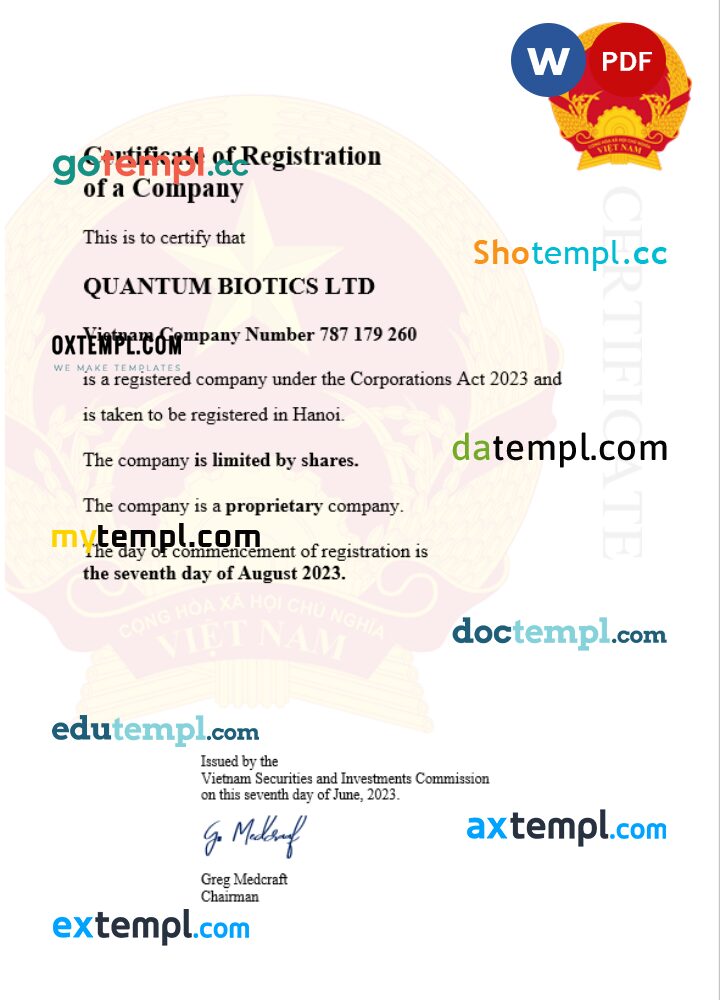 Vietnam business registration certificate Word and PDF template