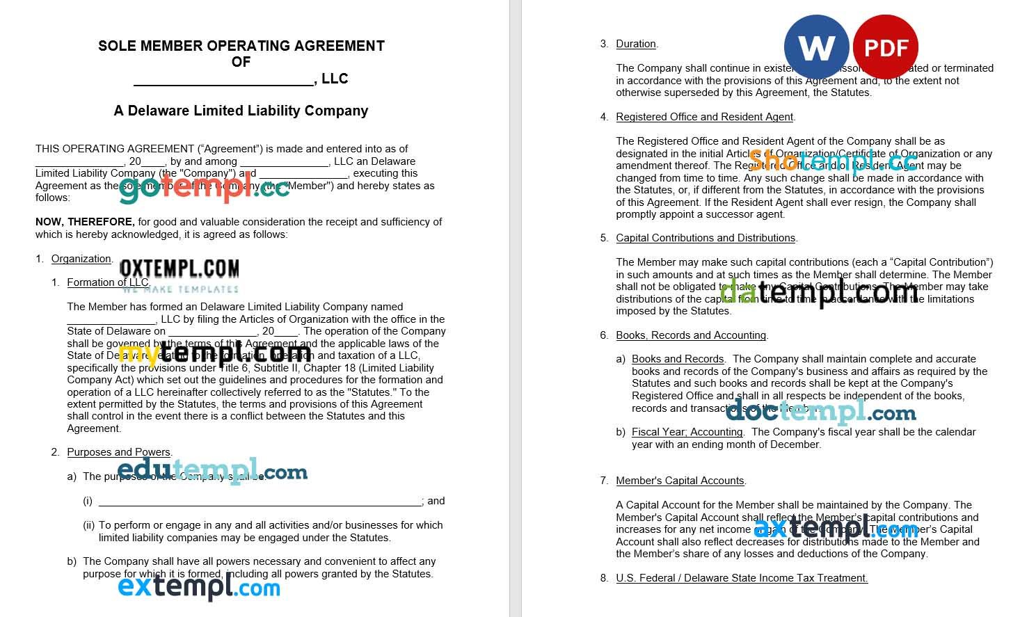 Delaware Single Member LLC Operating Agreement Word example, fully editable