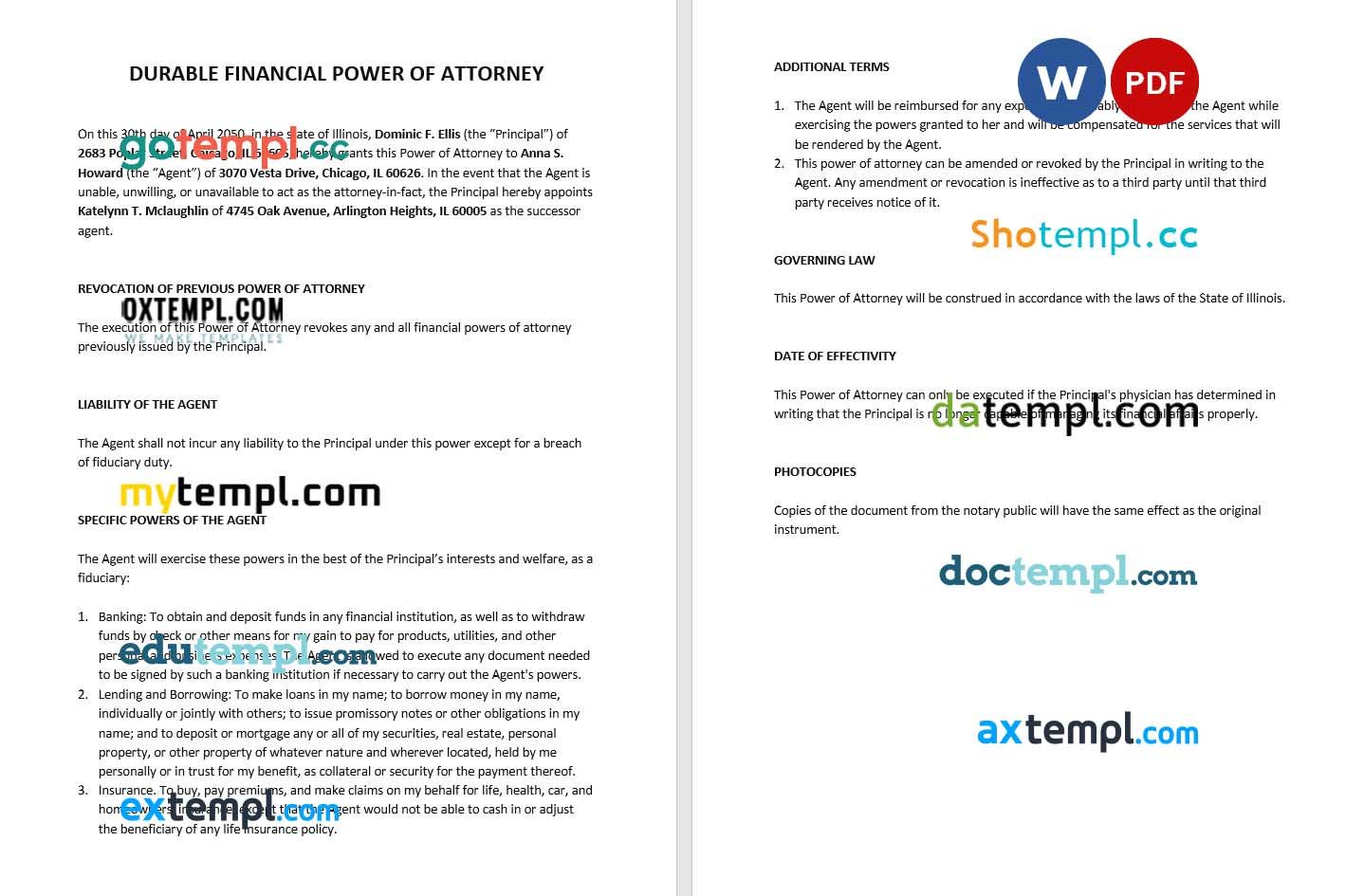 Durable Financial Power of Attorney example, fully editable