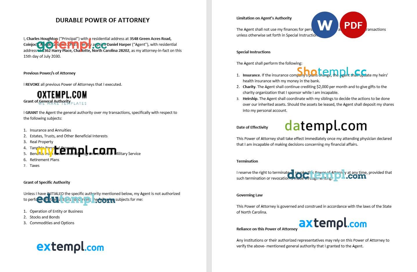 Durable Power of Attorney Form example, fully editable