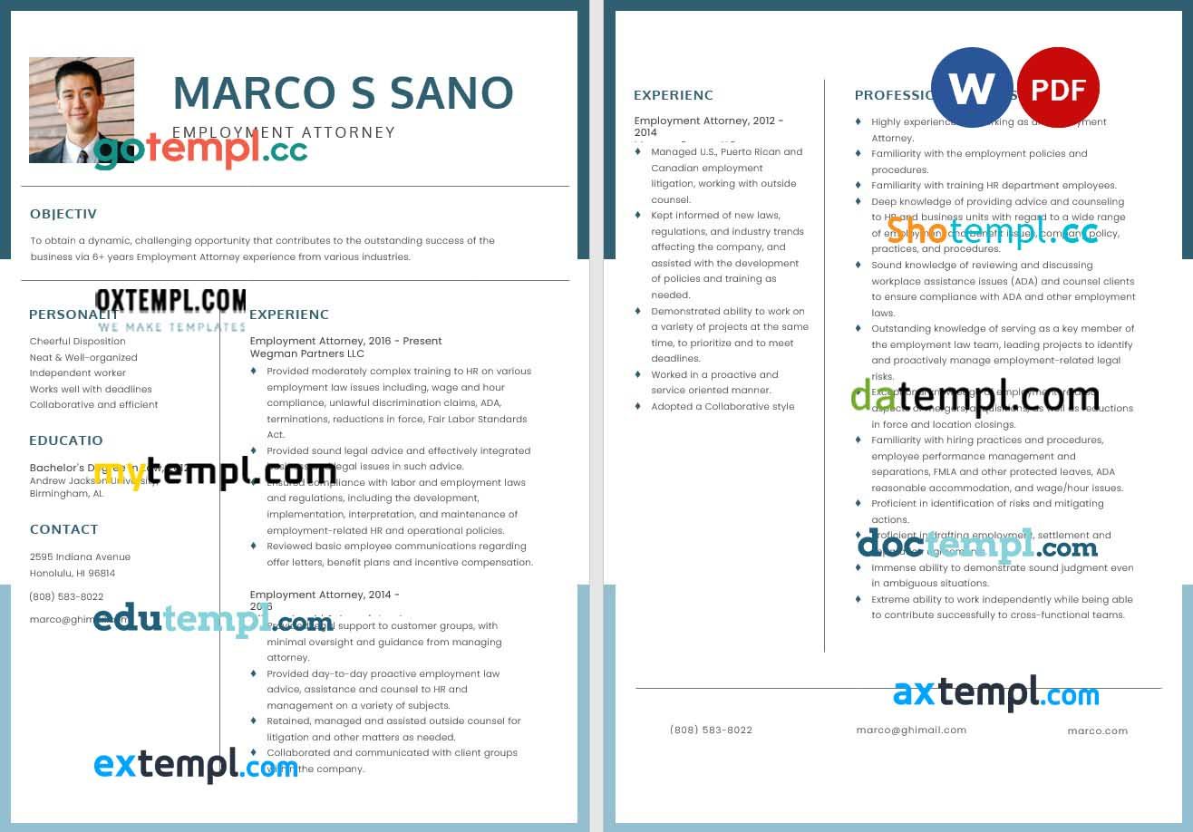 Employement Attorney Resume example, fully editable