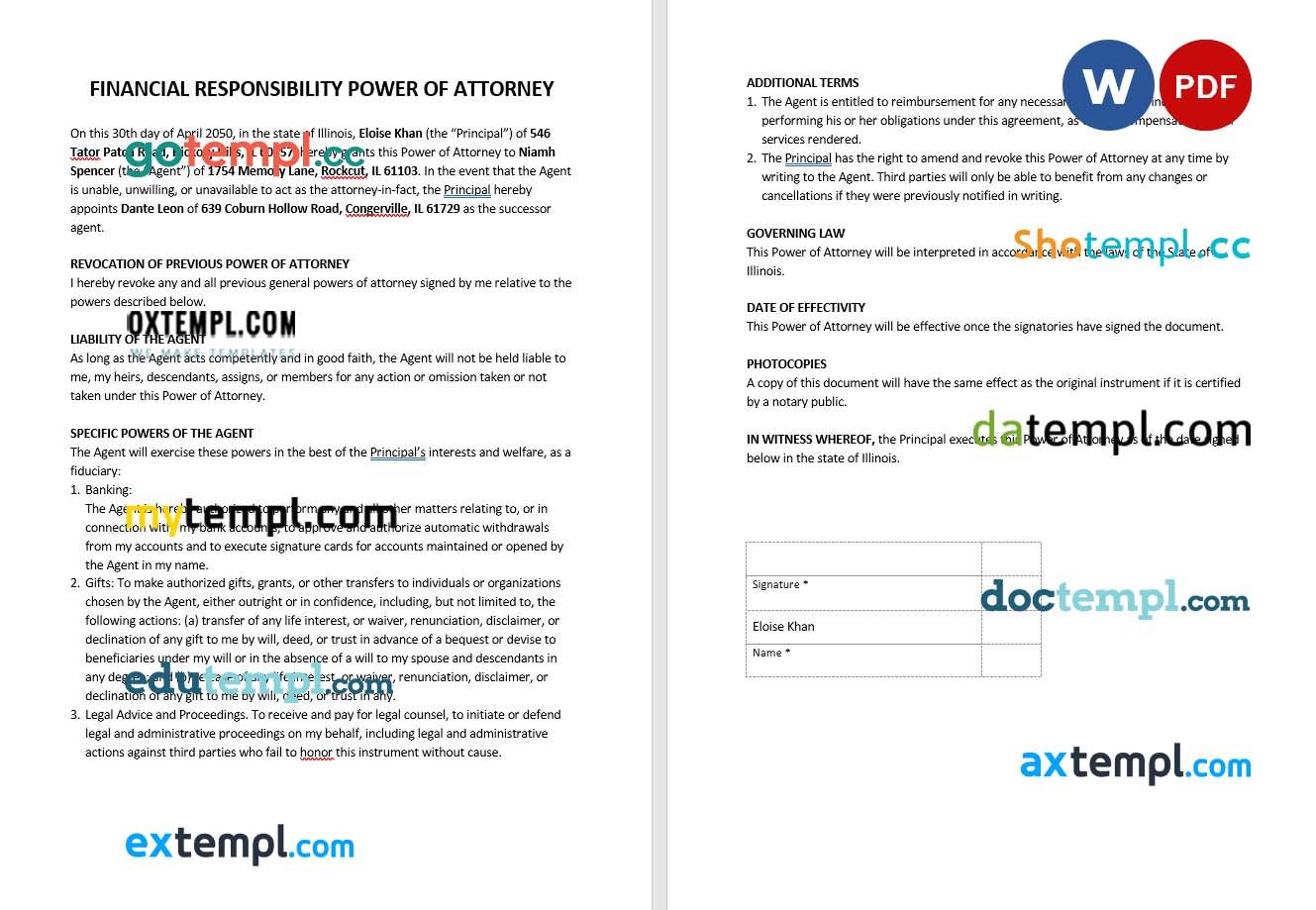 Financial Responsibility Power of Attorney example, fully editable