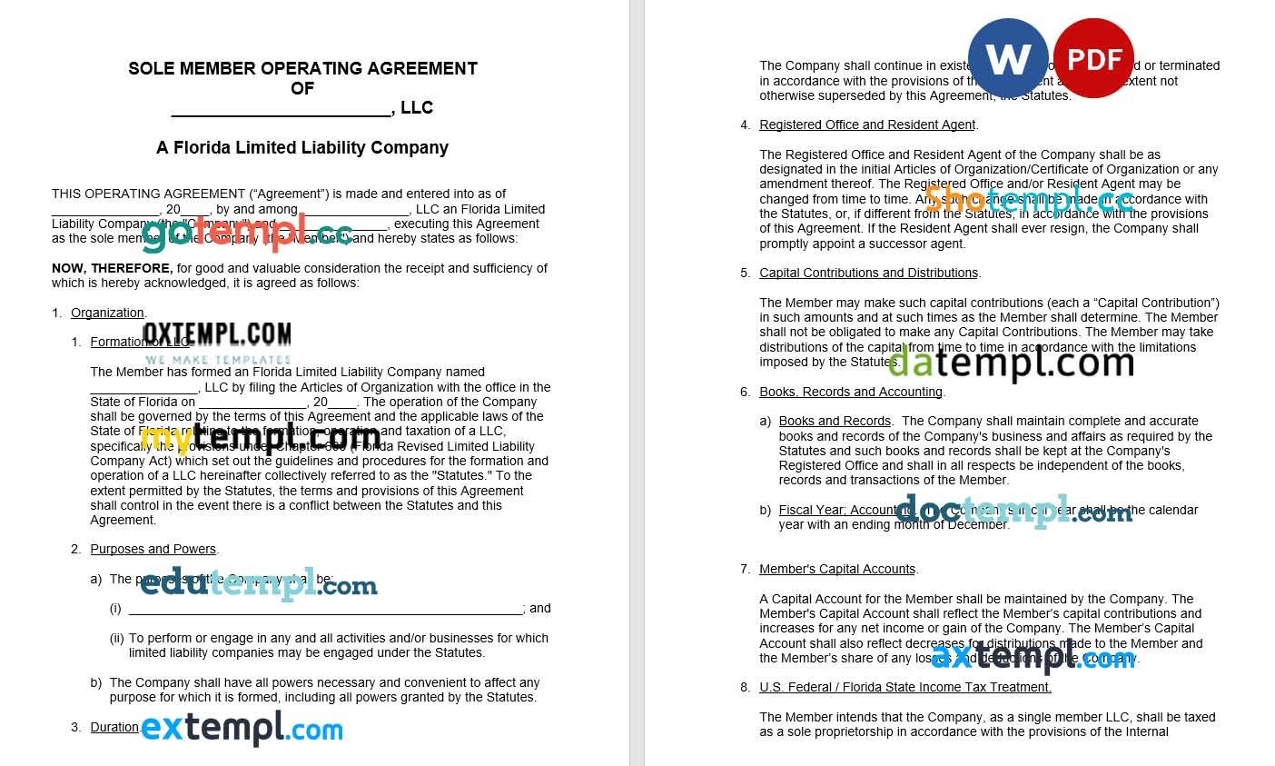 Florida Single Member LLC Operating Agreement Word example, fully editable