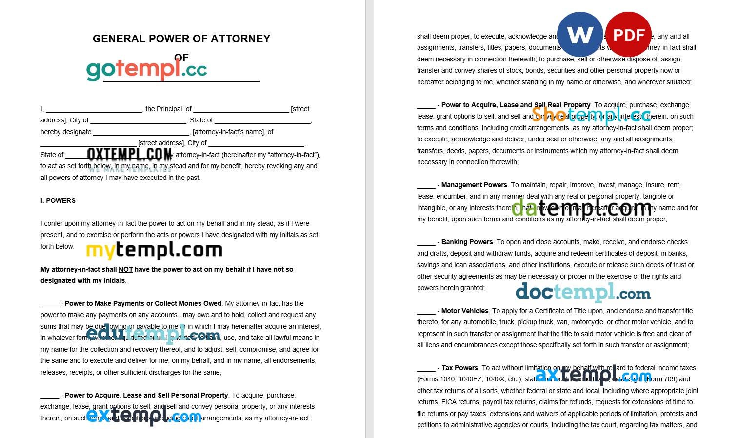 General Financial Power of Attorney Form example, fully editable