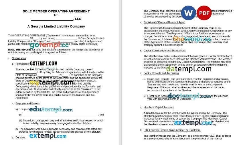 Georgian Single-Member LLC Operating Agreement Word example, fully aditable