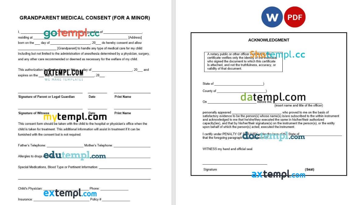 Grandparent Minor Child Medical Consent Form example, fully editable