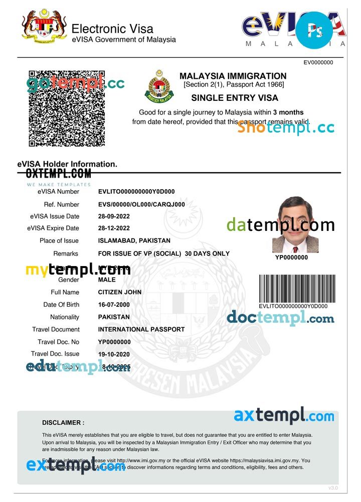 Malaysian electronic visa PSD example, fully editable