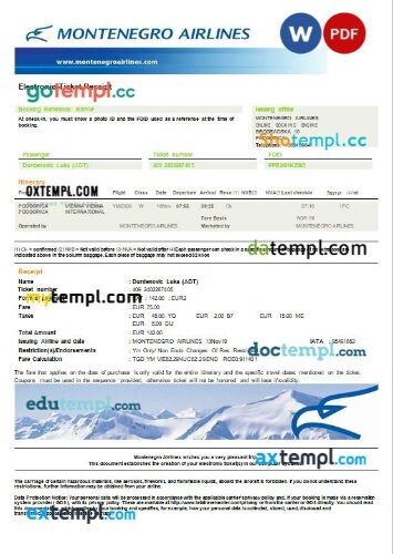 Montenegro Airlines airplane e-ticket, Word and PDF download template