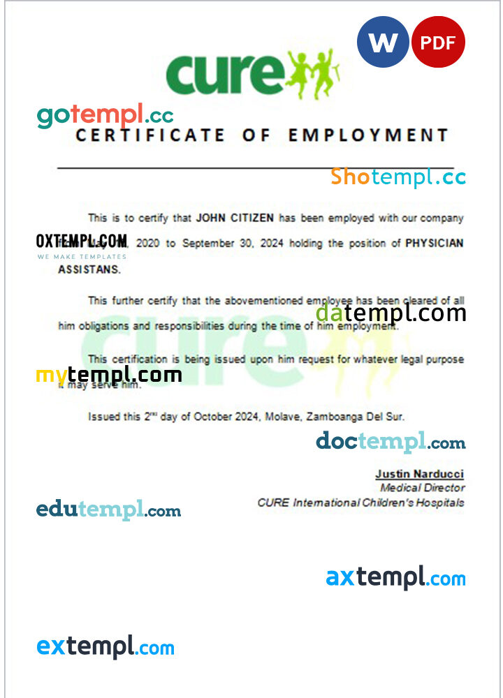 Niger CURE International Children's Hospitals certificate of employment Word and PDF download template