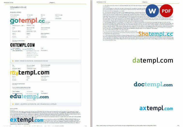 Pegasus Airlines airplane e-ticket, Word and PDF download template, 2 pages