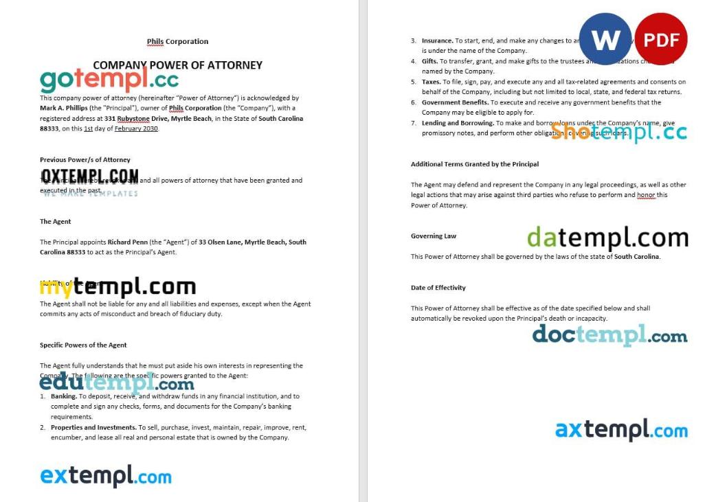 Sample Company Power of Attorney example, fully editable