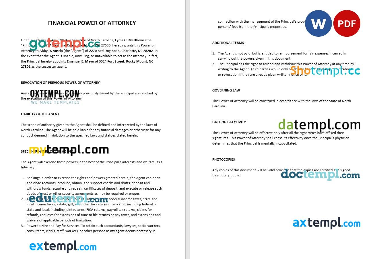 Sample Financial Power of Attorney example, fully editable