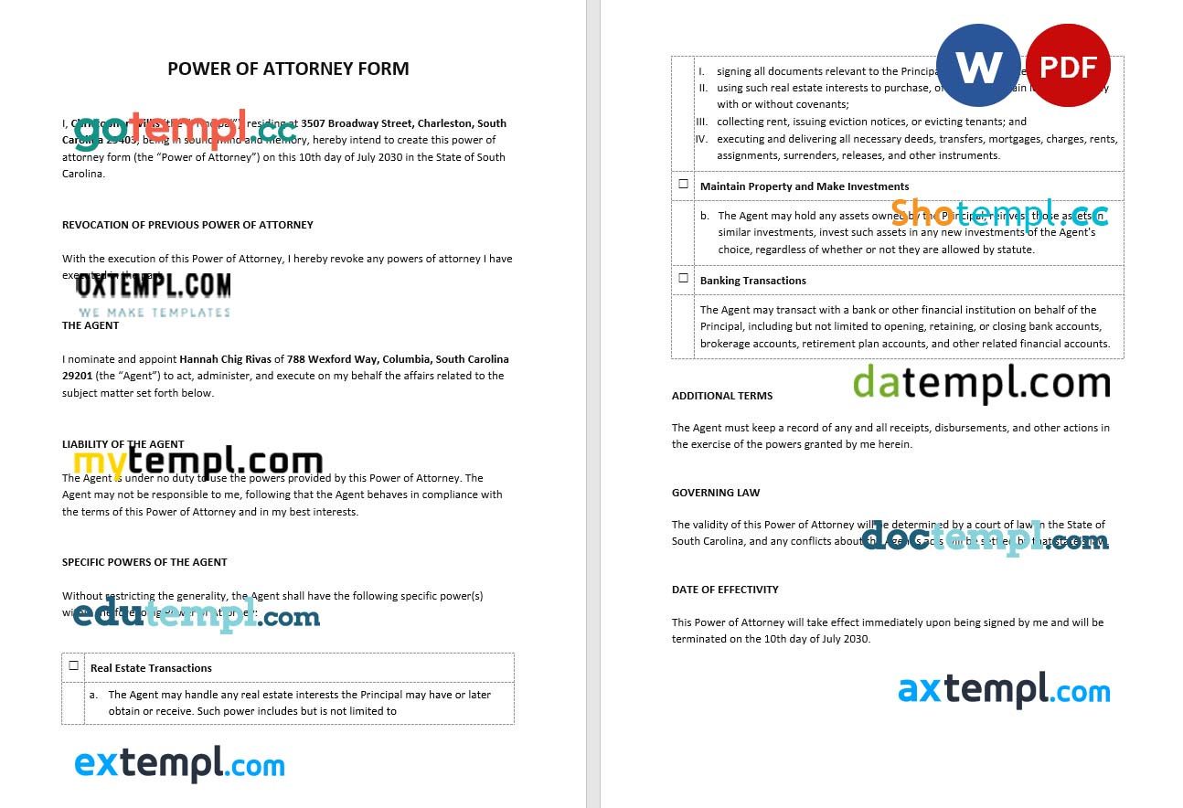 Sample Power of Attorney Form example, fully editable