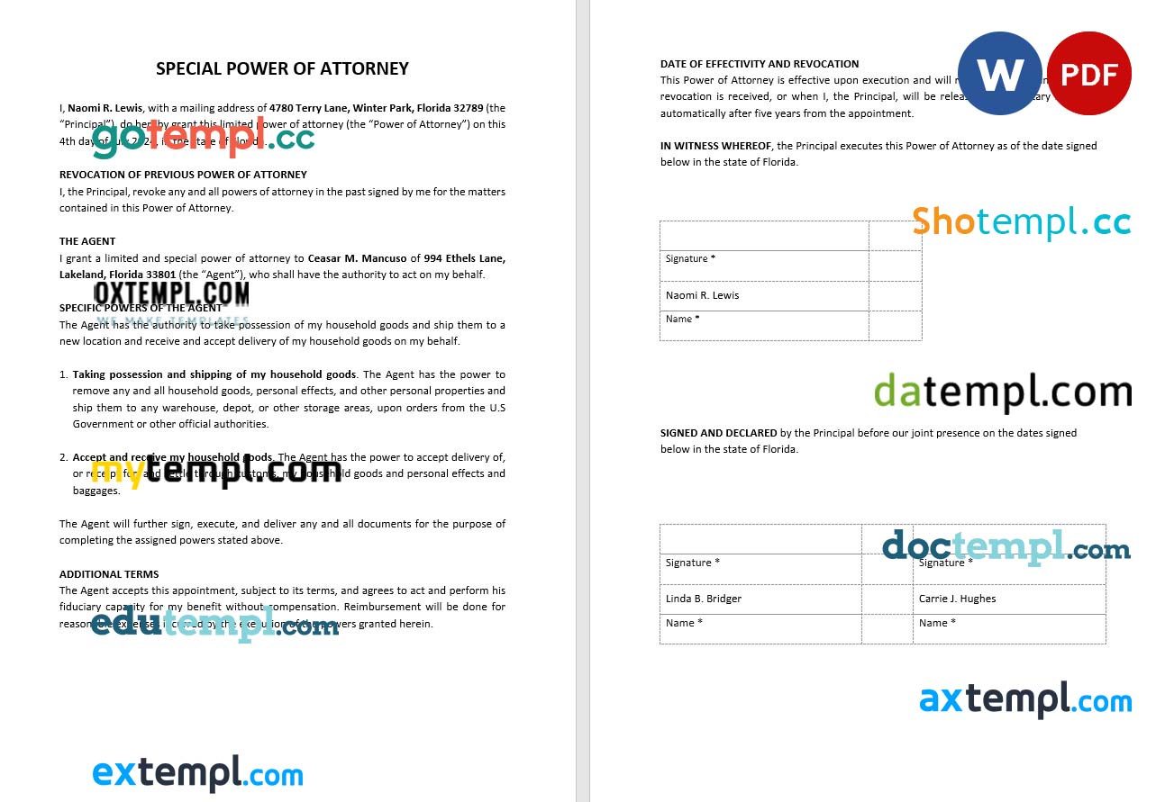 Sample Special Power of Attorney example, fully editable