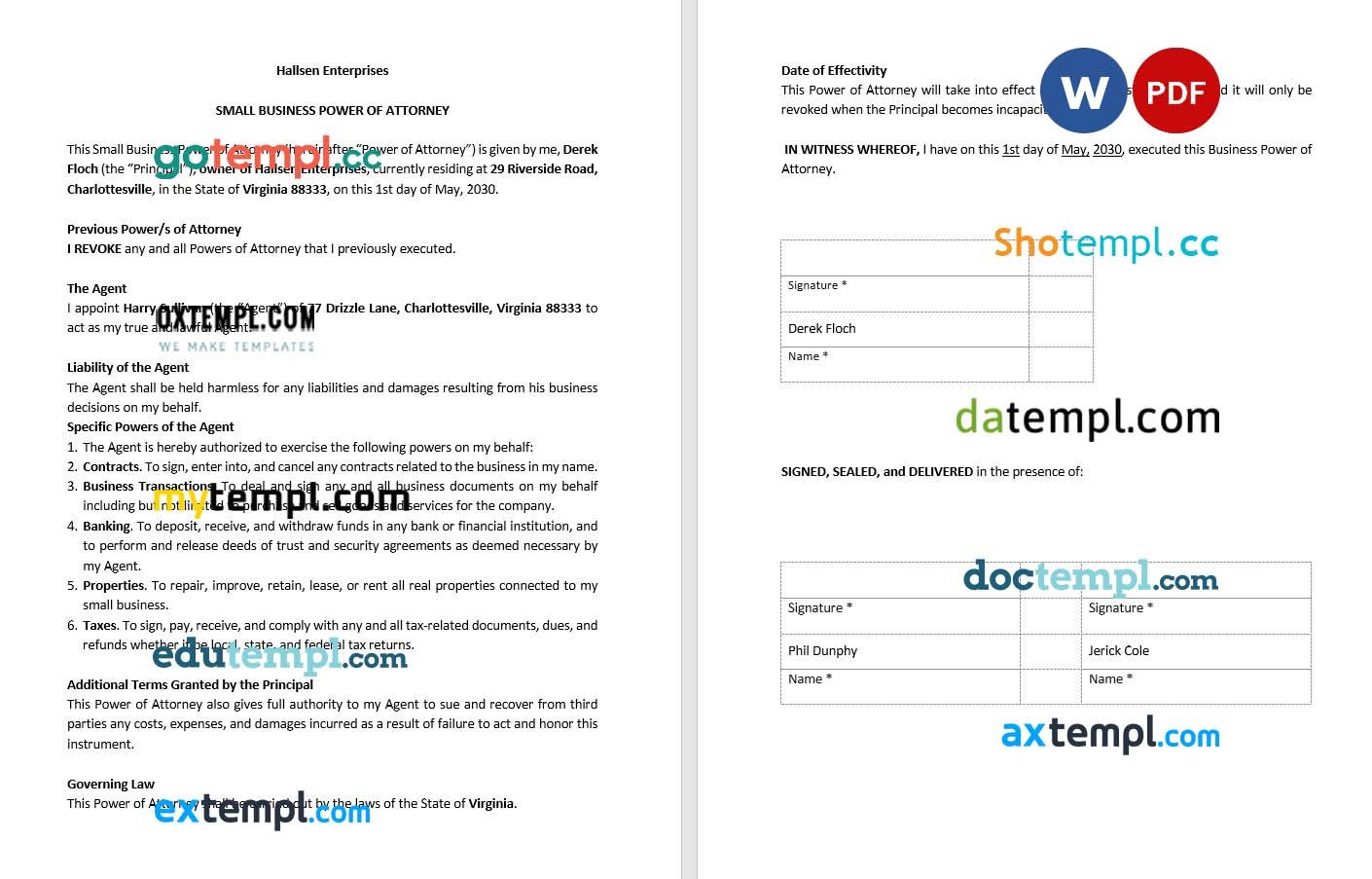 Small Business Power of Attorney example, fully editable