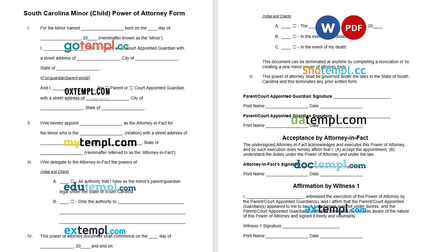 South Carolina Minor Child Parental Power of Attorney example, fully editable