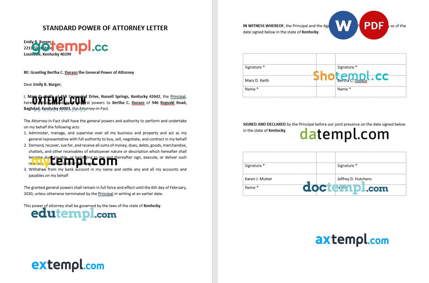 Standard Power of Attorney Letter example, fully editable