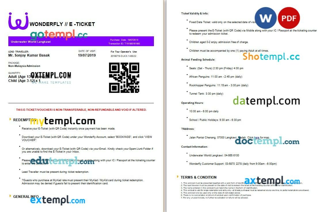 Wonderfly Tour e-ticket, Word and PDF download template, 3 pages