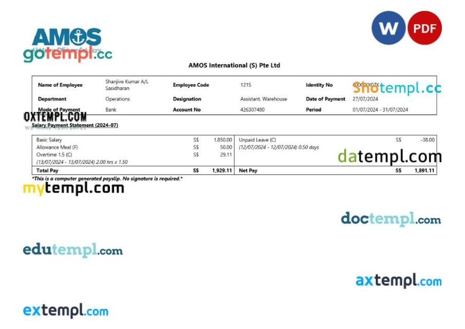 AMOS International earnings summary template in Word and PDF formats