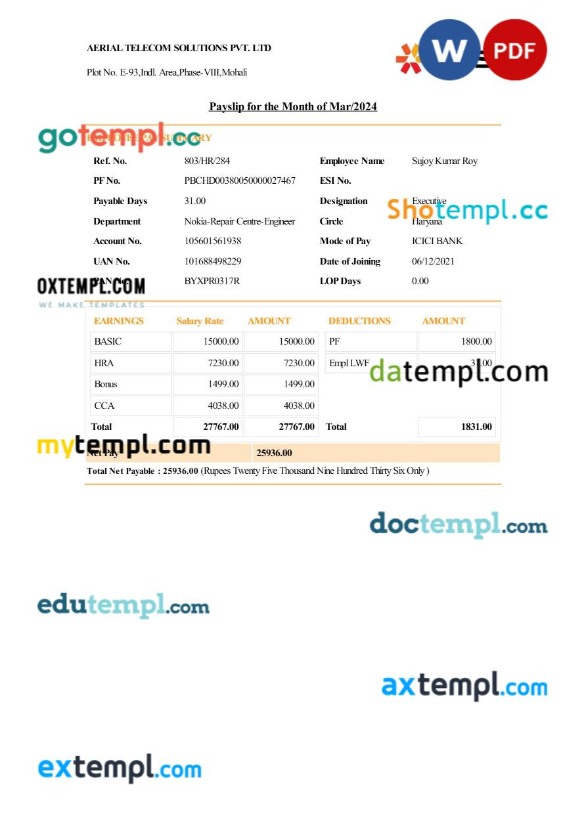 Aerial Telecom Solutions payslip template in Word and PDF formats