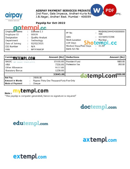 Airpay Payment Services payslip template in Word and PDF formats