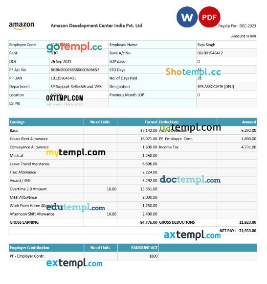 Amazon Development Center India payslip template in Word and PDF formats