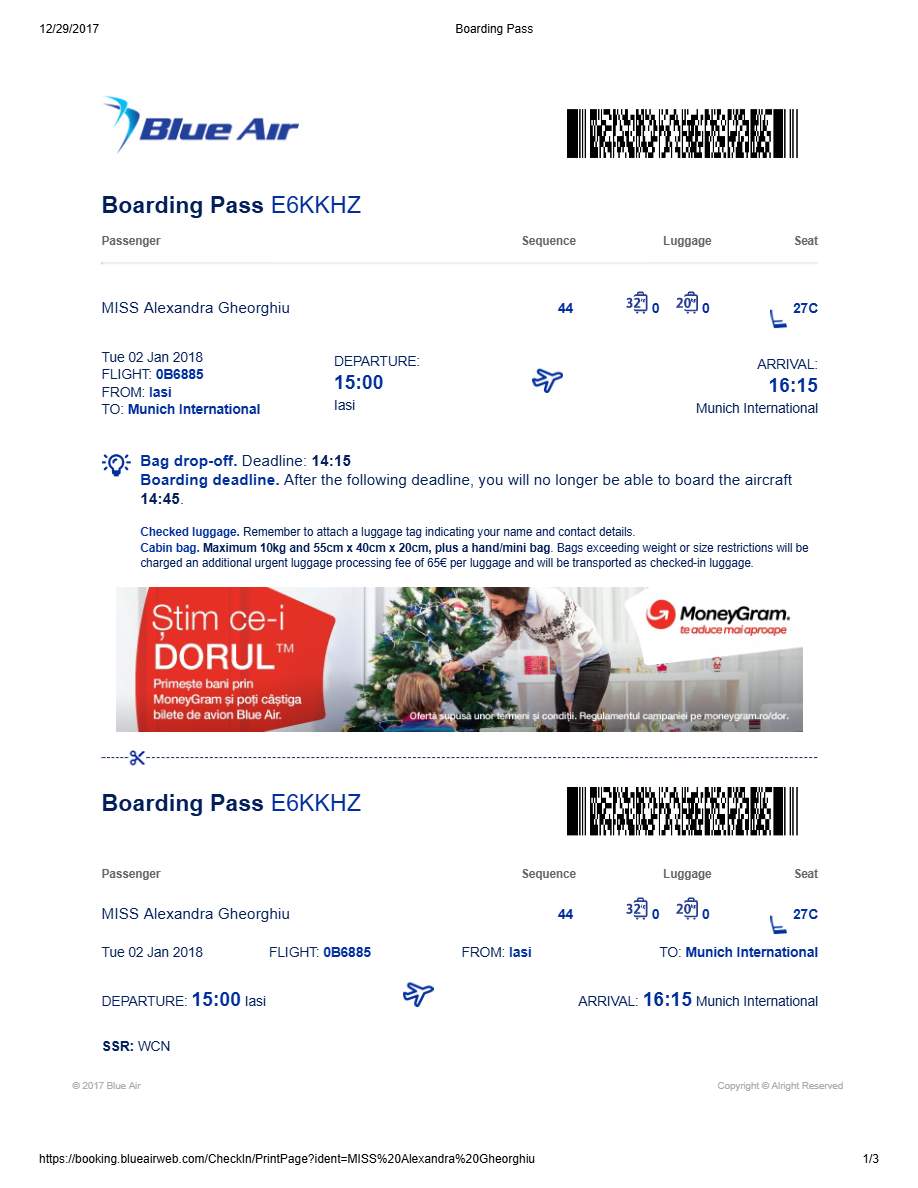 Blue Air boarding pass in Word and PDF formats