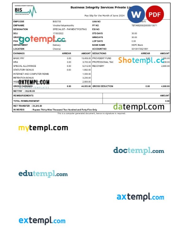 Business Integrity Services payslip template in Word and PDF formats