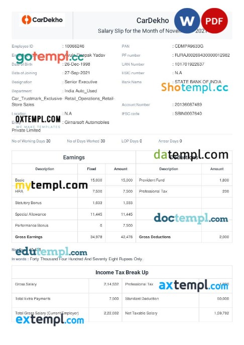 CarDekho payslip template in Word and PDF formats