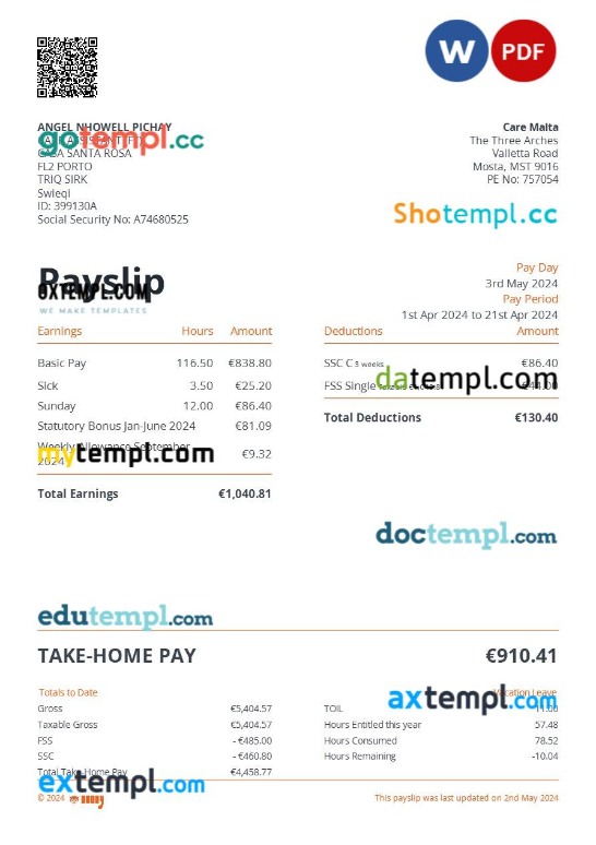 Care Malta payslip template in Word and PDF formats