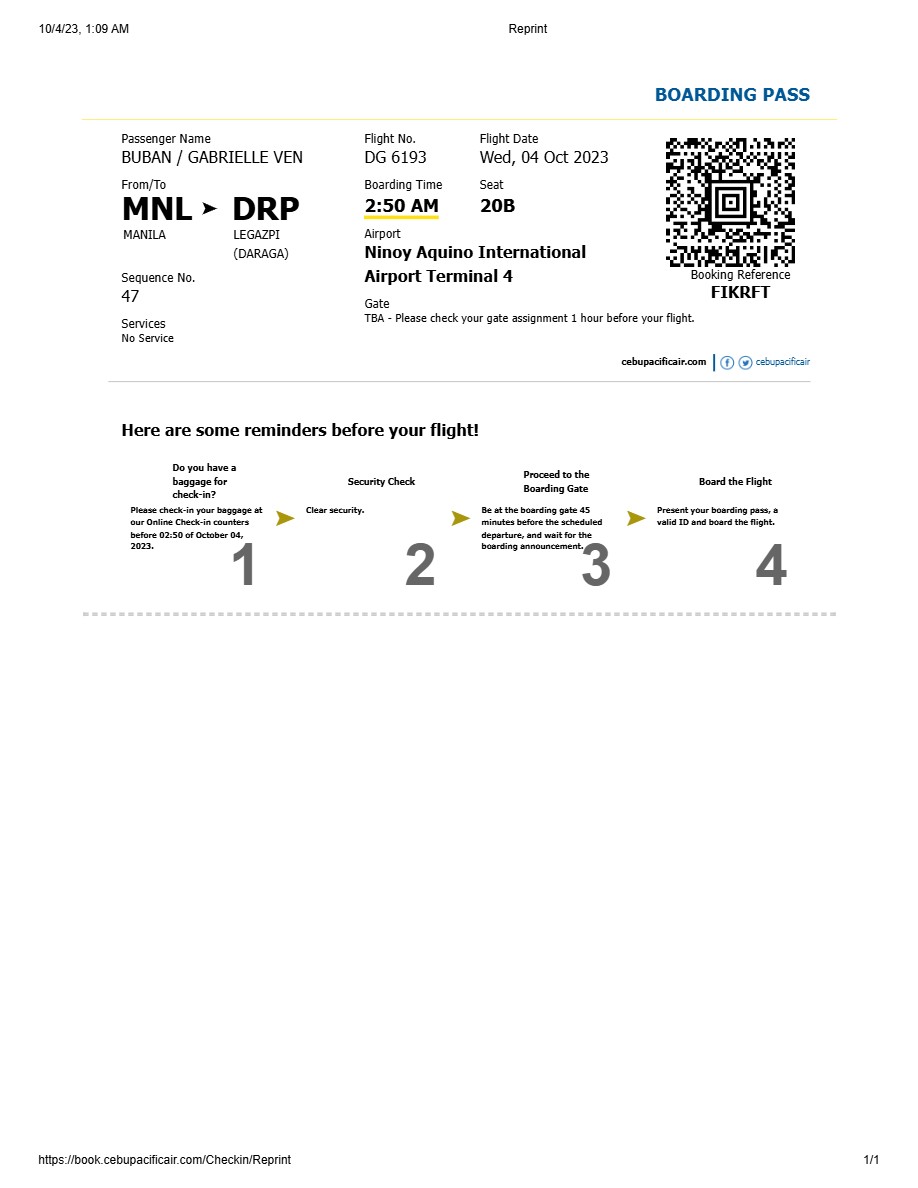 Cebu Pacific Air boarding pass in Word and PDF formats