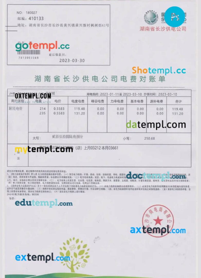 China state power grid utility bill in PSD format