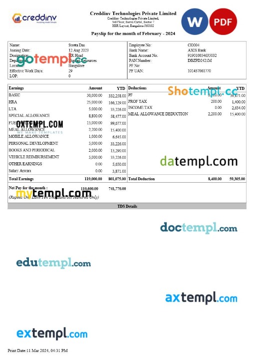 Creddinv Technologies payslip template in Word and PDF formats