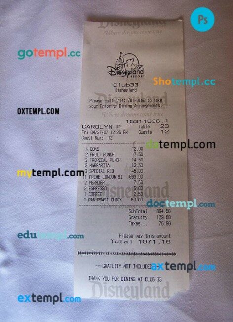 Disneyland payment receipt PSD template