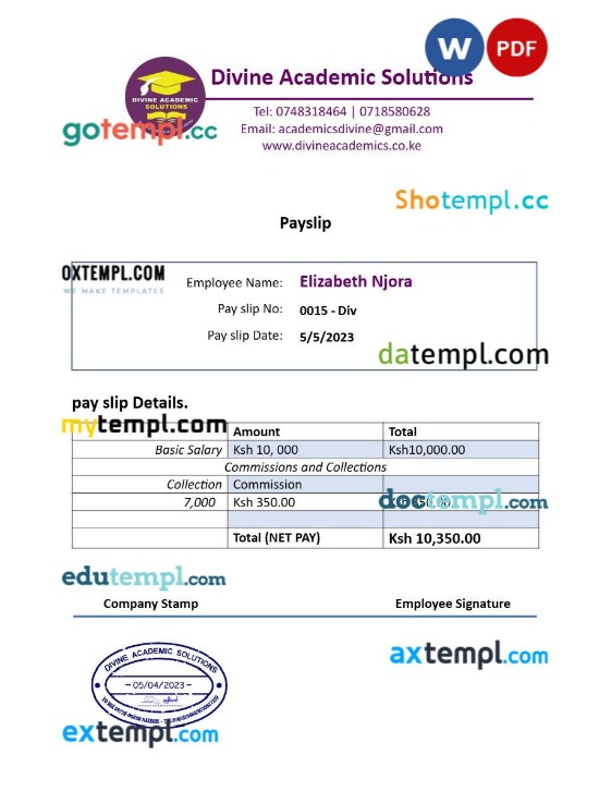 Divine Academic Solutions payslip template in Word and PDF formats