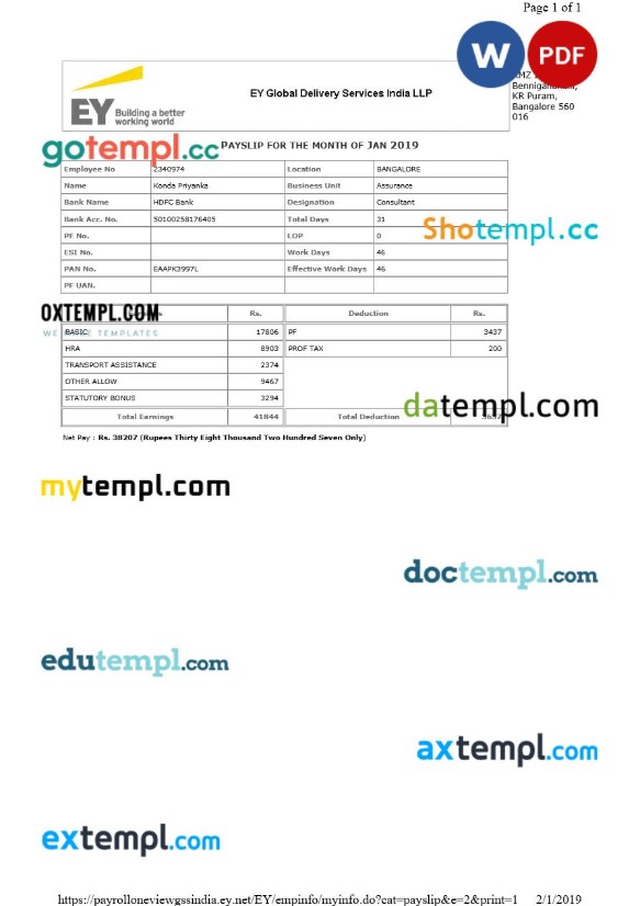 EY Global Delivery Services payslip template in Word and PDF formats