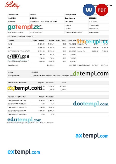 Eli Lilly Services India pharmaceutical company payslip template in Word and PDF formats